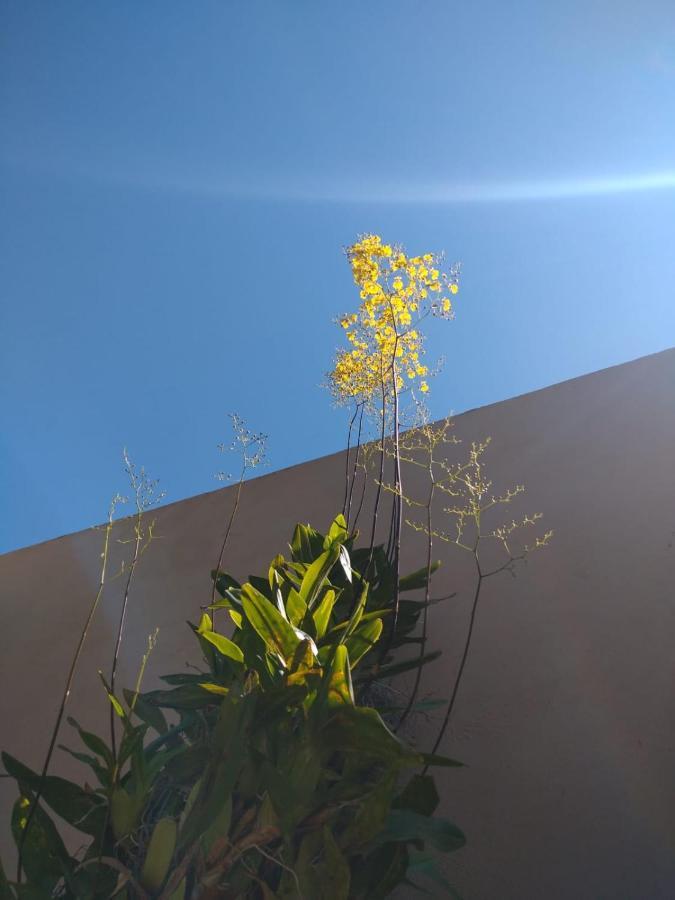 Nossa Casinha Atibaia - Linda Vista Pra Pedra Grande Exterior photo