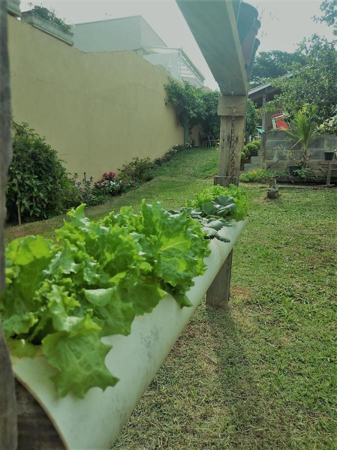 Nossa Casinha Atibaia - Linda Vista Pra Pedra Grande Exterior photo